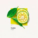solinotes-yuzu-3