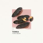 solinotes-tonka-3